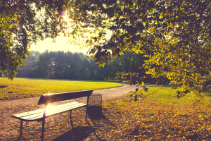 shutterstock_223265092