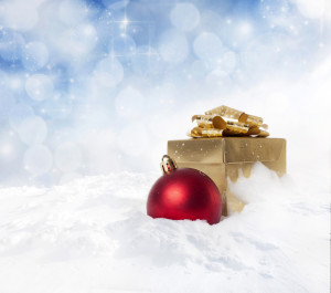 shutterstock_232002328